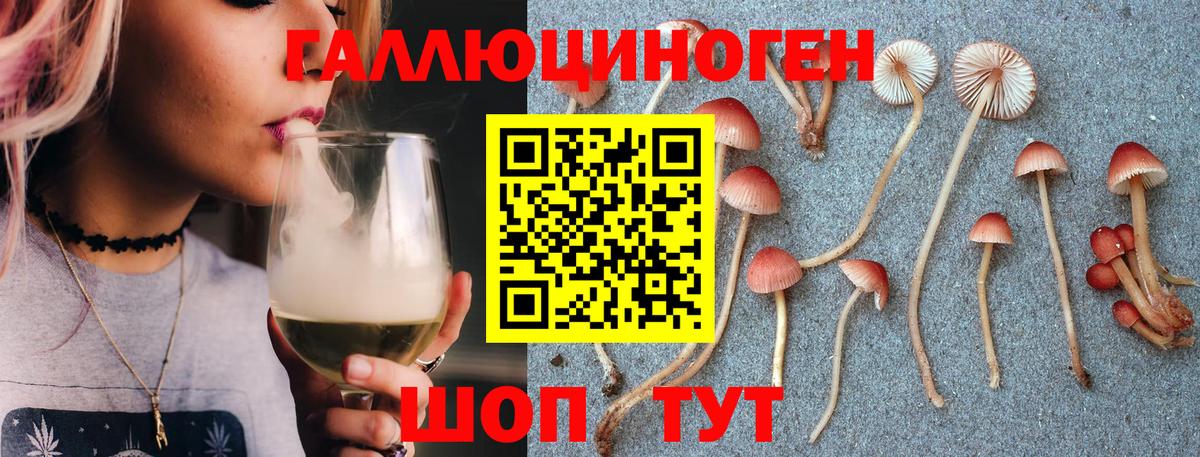 Горячий Ключ  Галлюциногенные грибы Psilocybe  Галлюциногенные грибы MAGIC MUSHROOMS  Вход с VPN 