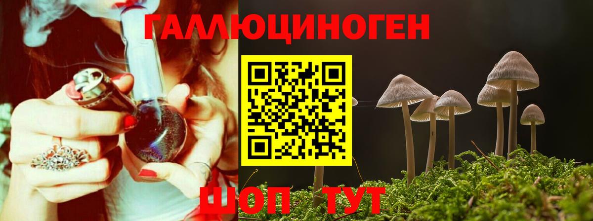 Галлюциногенные грибы мицелий Горячий Ключ